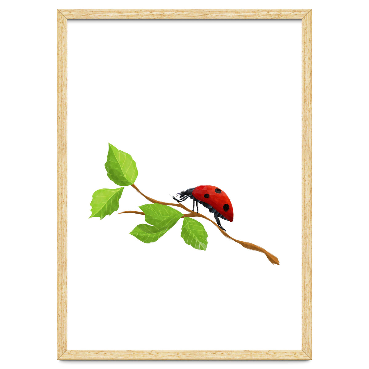 Ladybug