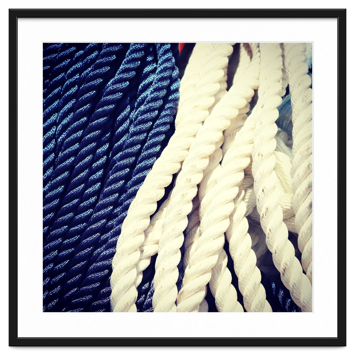 Blue and white fishing rope