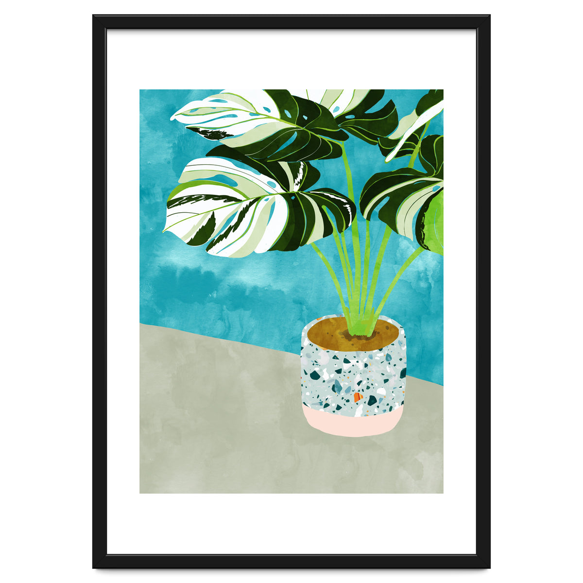 Variegated Monstera