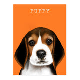 Puppy (Print Only) thumbnail