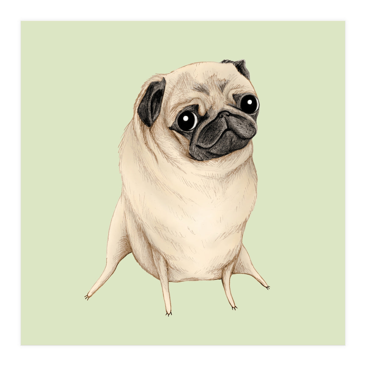 Sweet Fawn Pug (Print Only)
