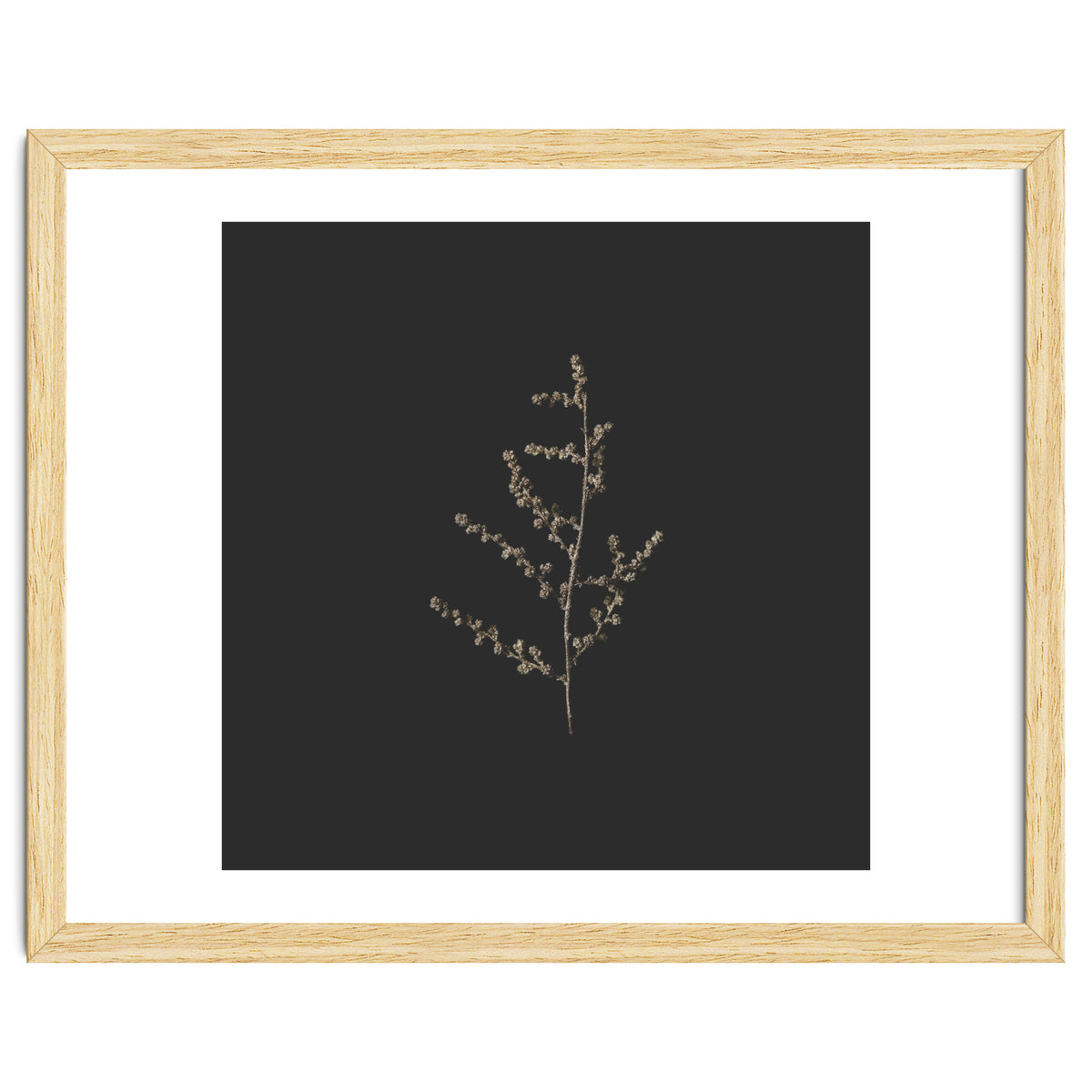 Dainty Botanicals in Gold and Black - Square