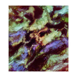 Magnetic (Print Only) thumbnail
