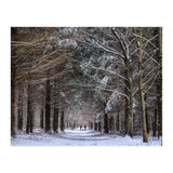 Dog Walkers in the Snow.  Heath Warren - Hampshire (Print Only) thumbnail