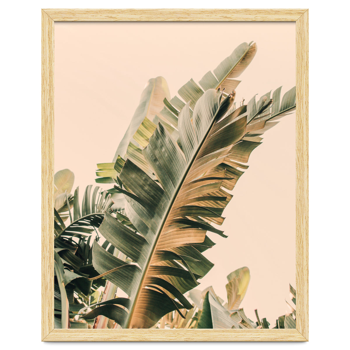 Growing Green Alicia Bock