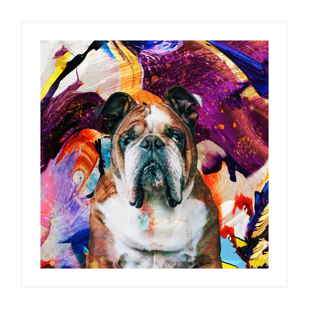 Zycko Color Dog 3 (Print Only)