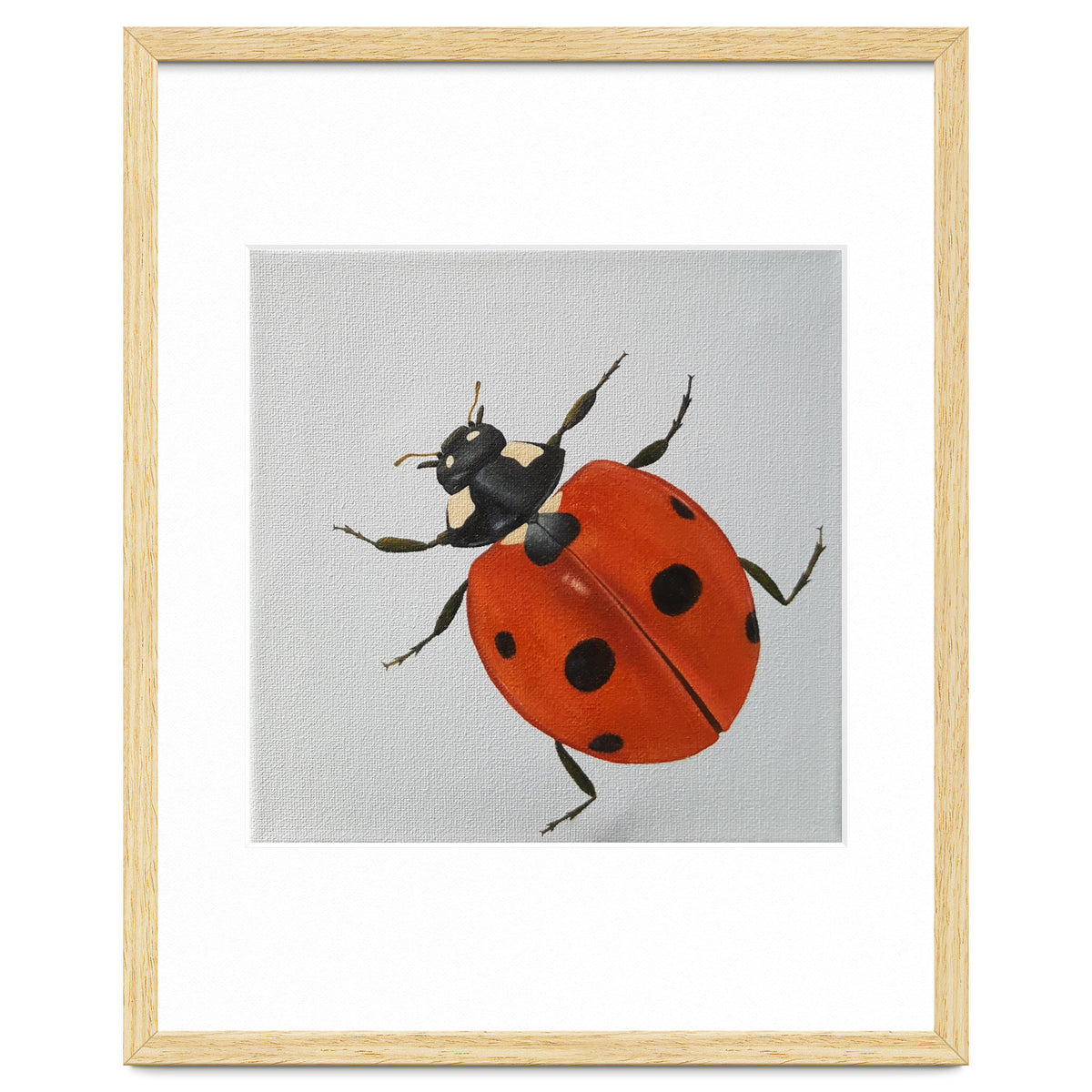 Ladybird