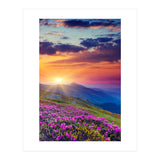 Nature (Print Only) thumbnail