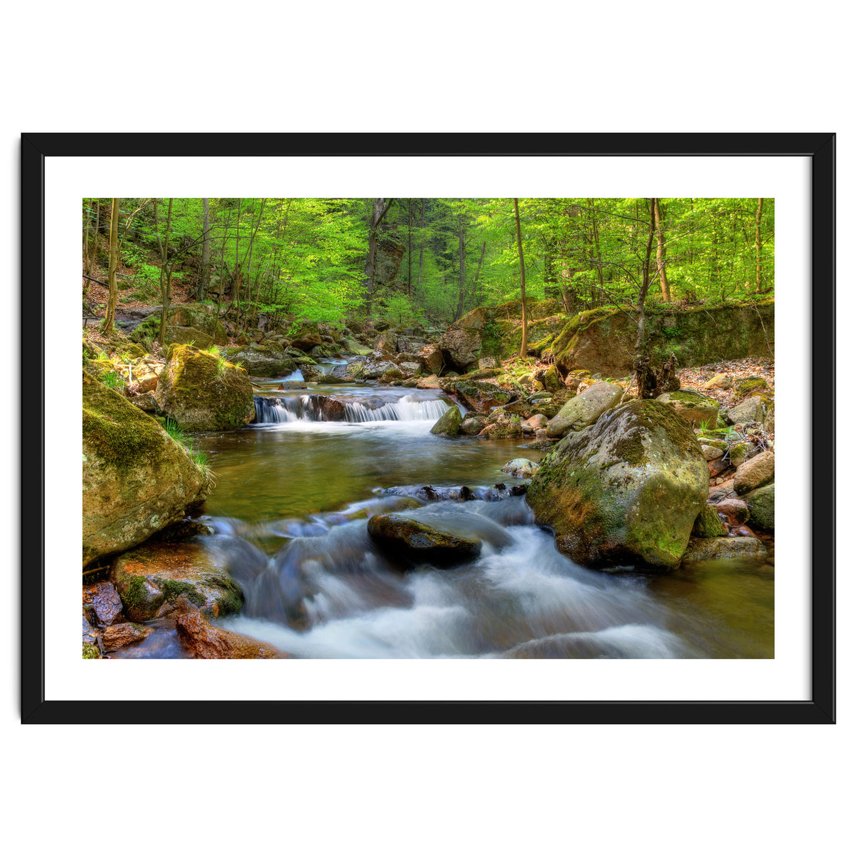 Spring At Harz Moutain