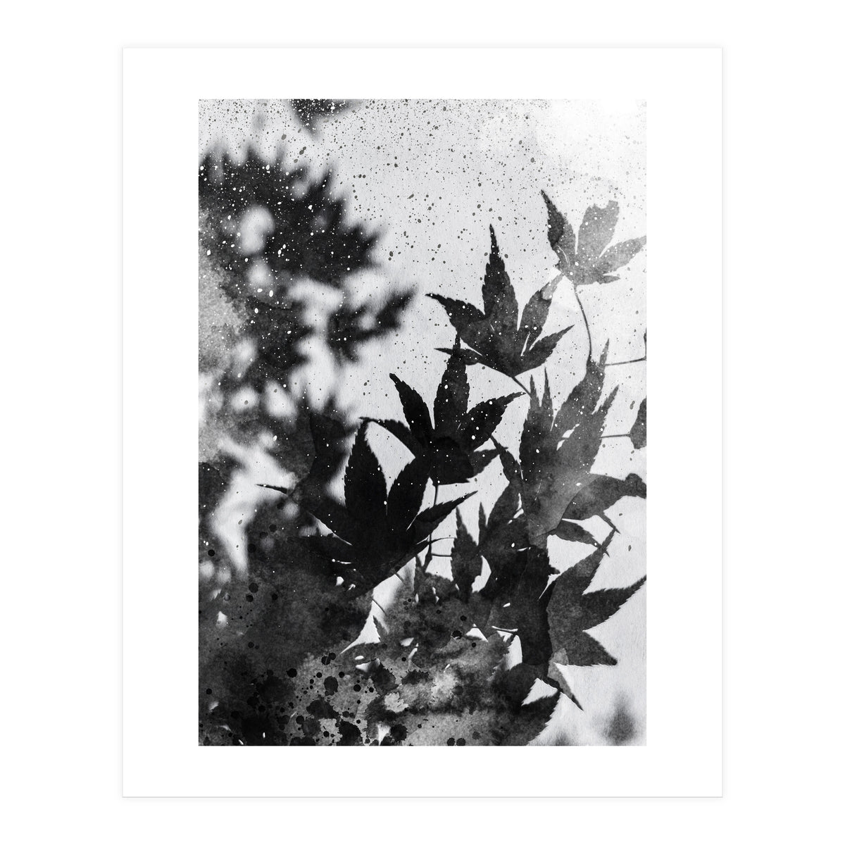 Leaves #2 (Print Only)