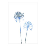 Blue Dandelion (Print Only) thumbnail