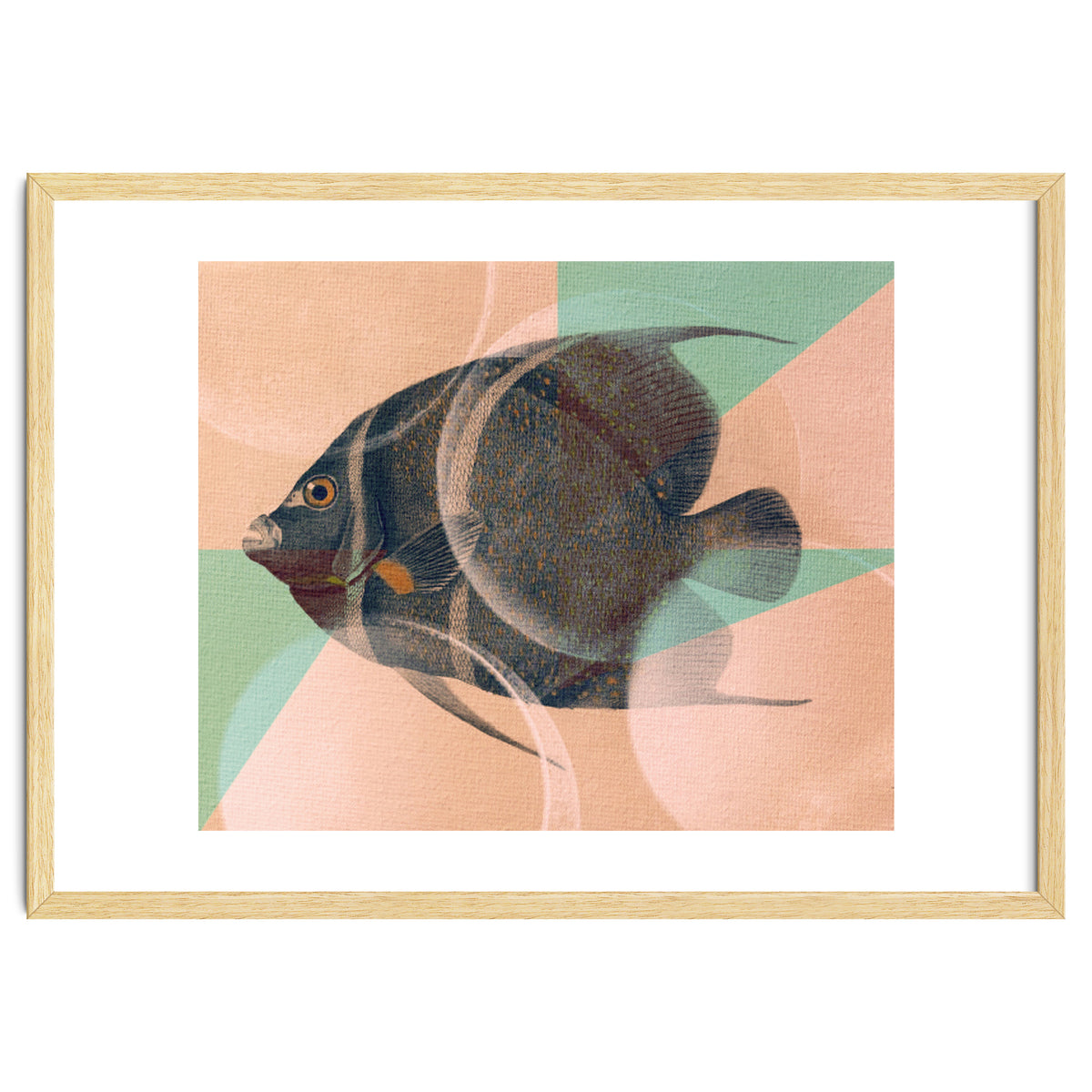 Fish Between Circles 2