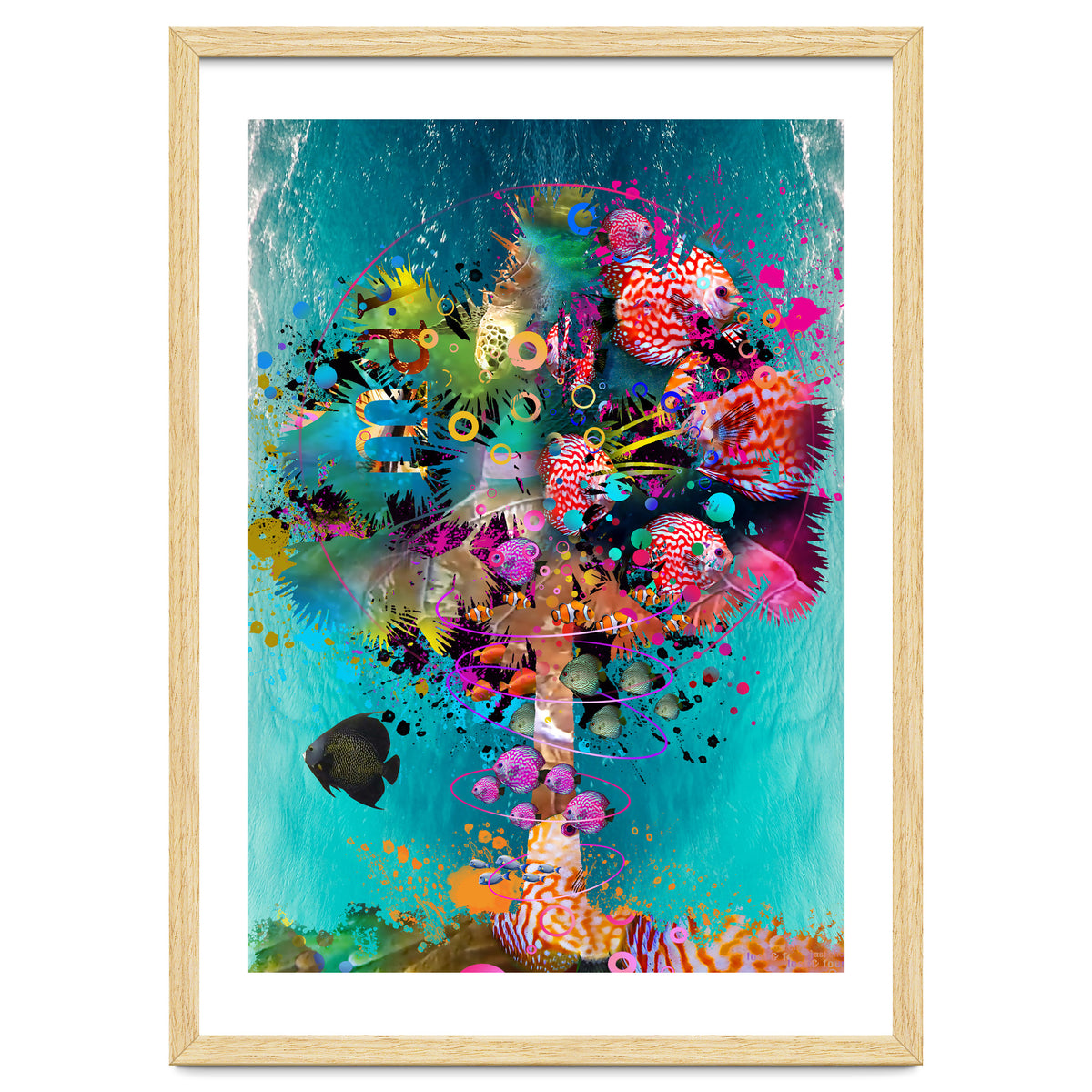 Surf Palm 02 Halfed Large2