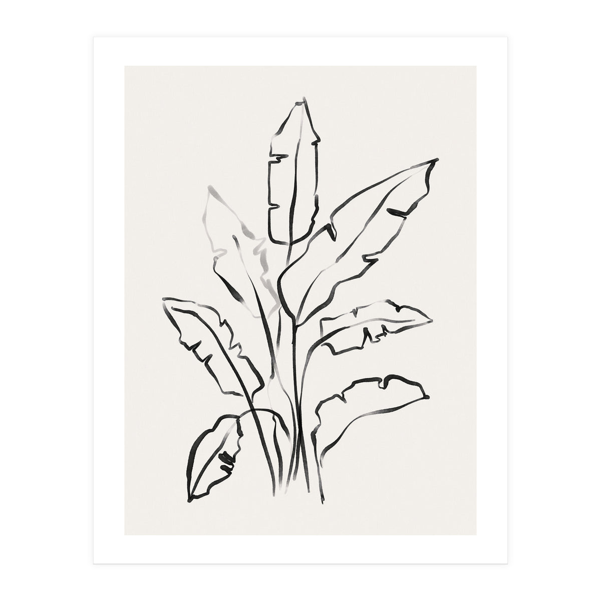 Banana Leafs Drawing (Print Only)