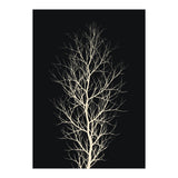 The Tree White (Print Only) thumbnail