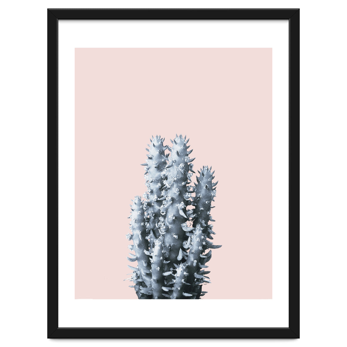 Cactus collection BL-III