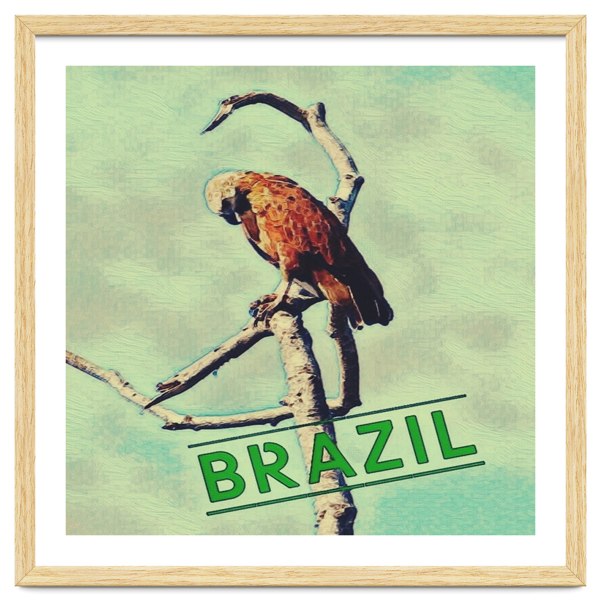 Eagle in Brazil