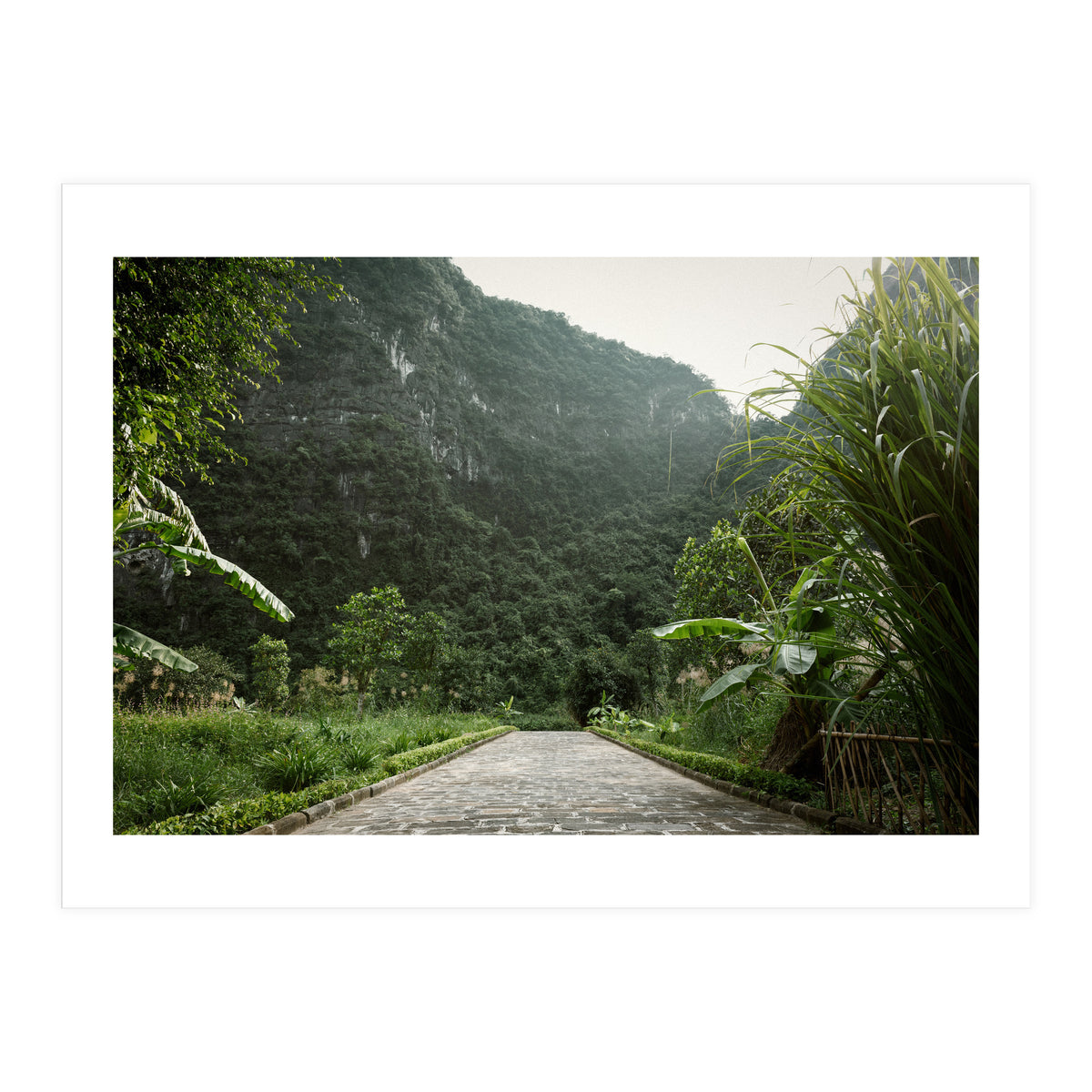 Greenscape (Print Only)