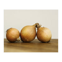 Onions (Print Only)