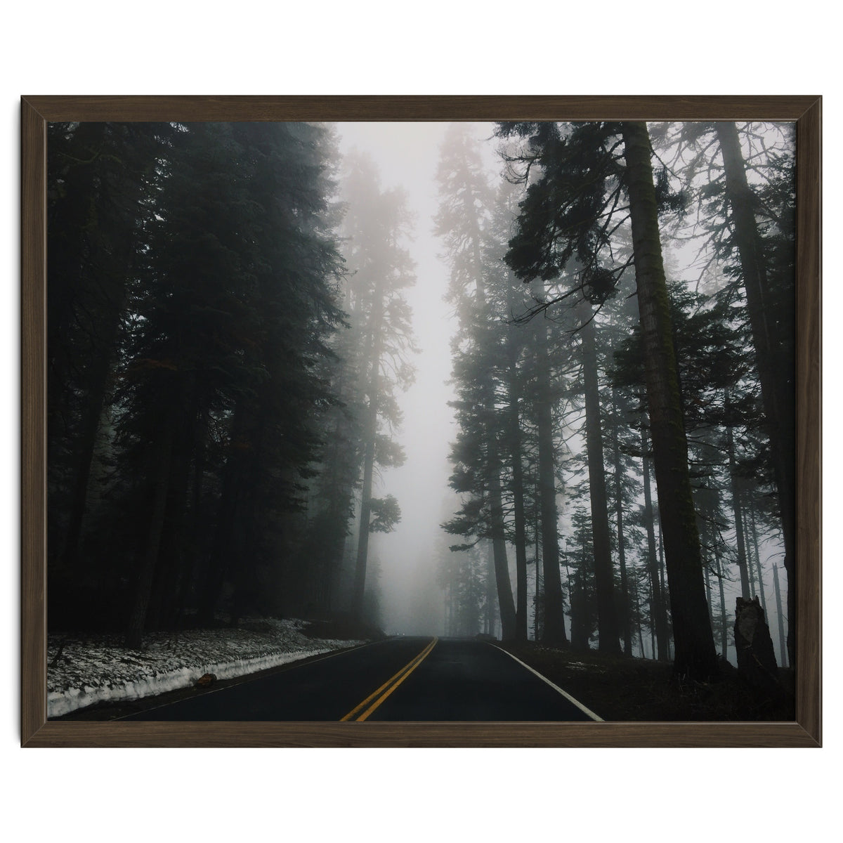 Foggy Yosemite