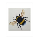 Bumblebee  (Print Only) thumbnail