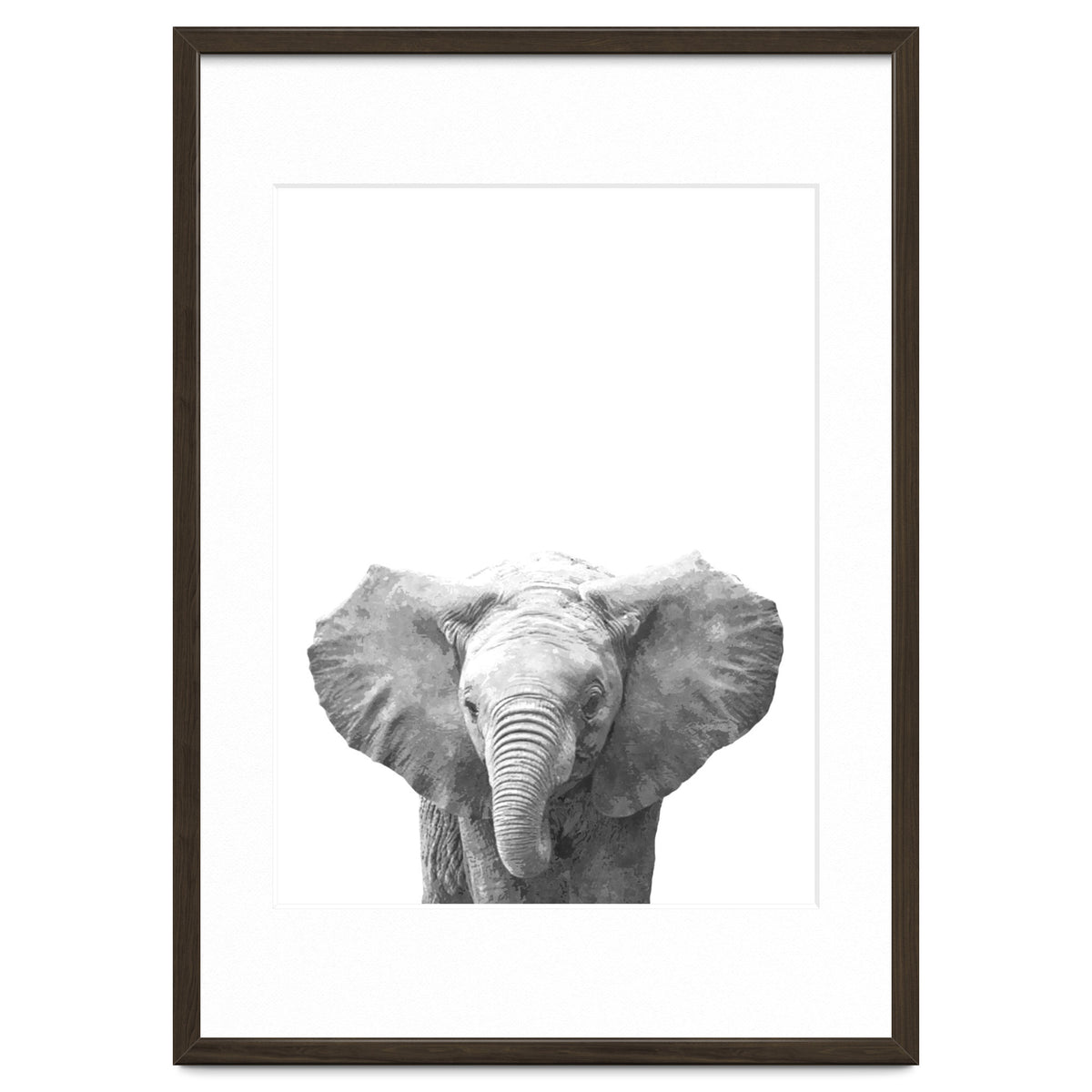 Black and White Baby Elephant