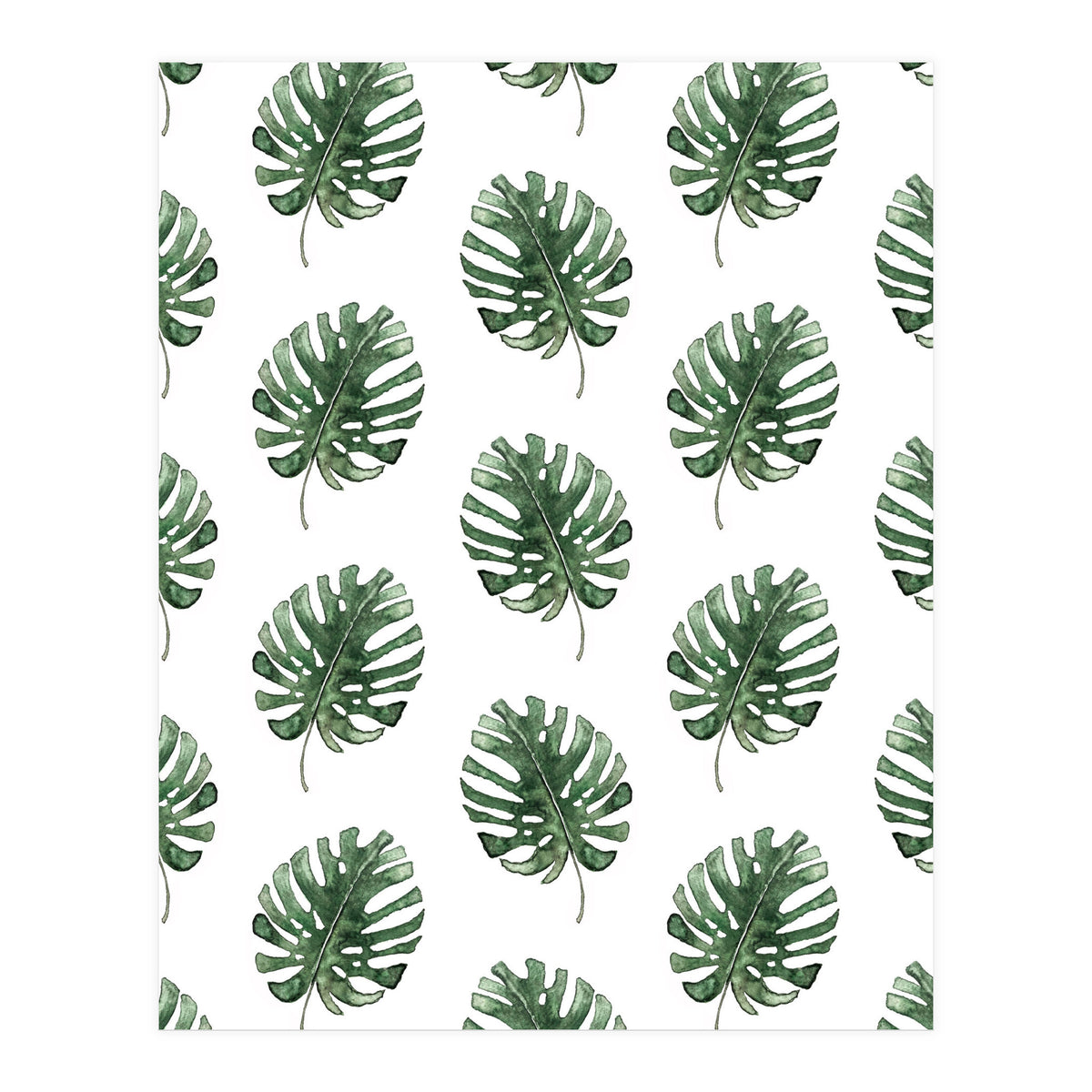 Monstera Leaves (Print Only)