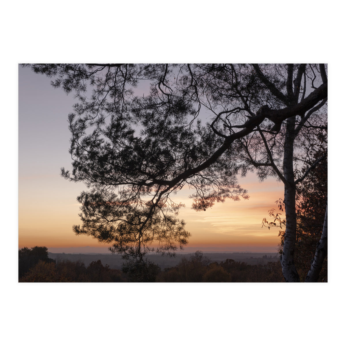 Sunset on Finchampstead Ridges - Berkshire (Print Only)