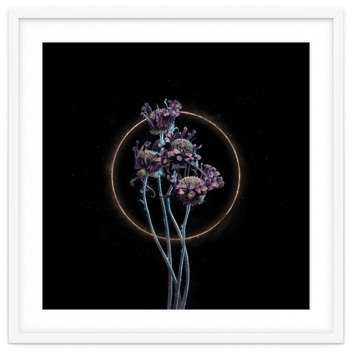 Candy-Coloured Mystery