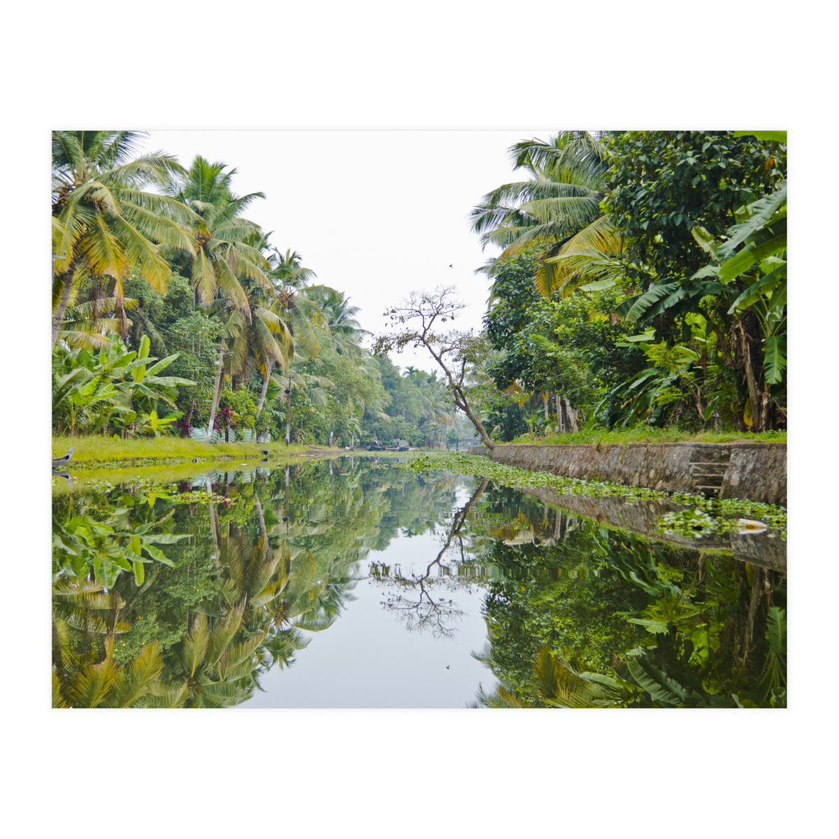 Allepey, India (Print Only)