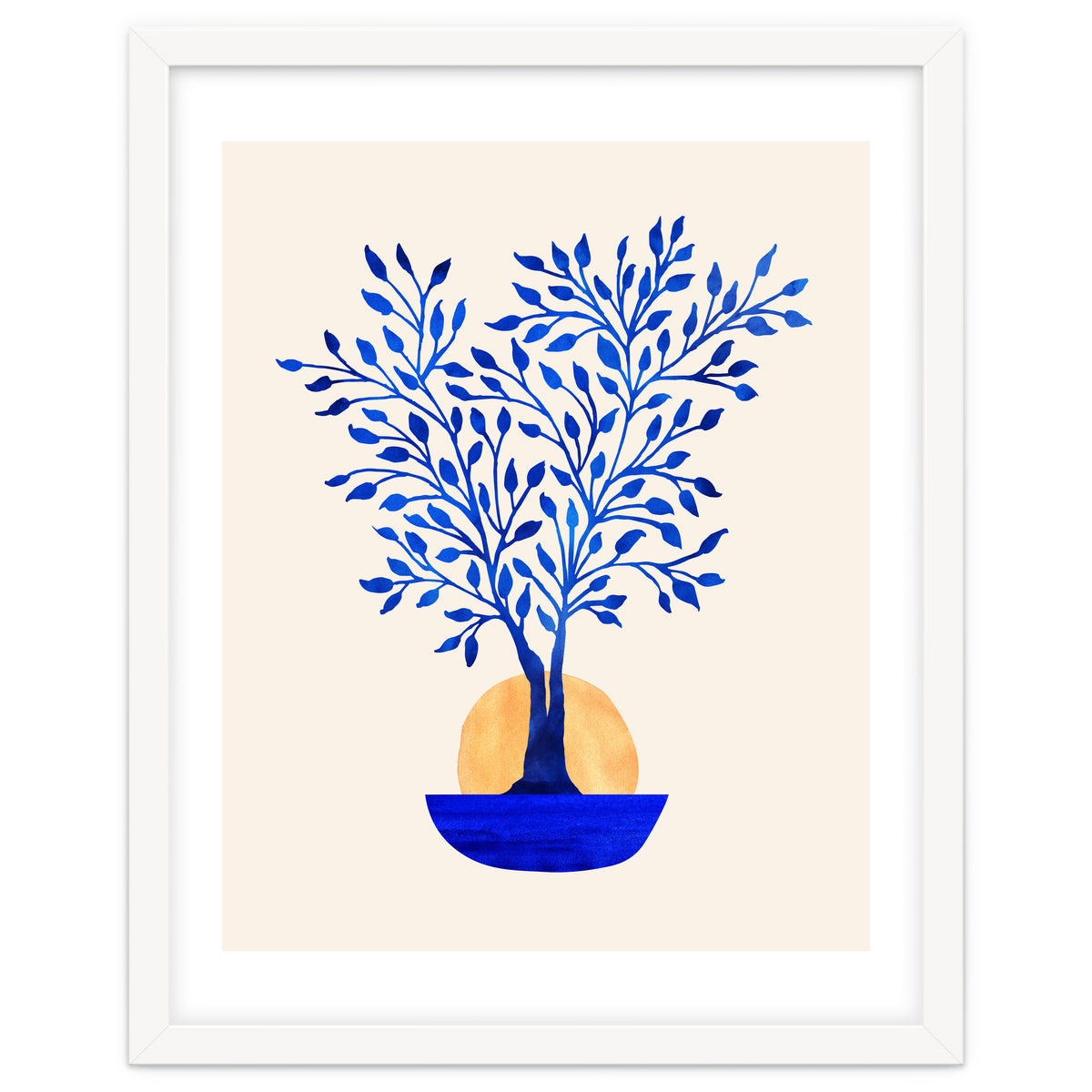 Indigo Ficus Sunrise