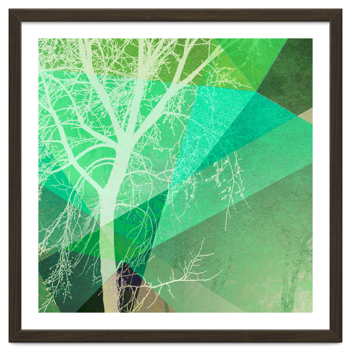 P22-B3 Trees And Triangles