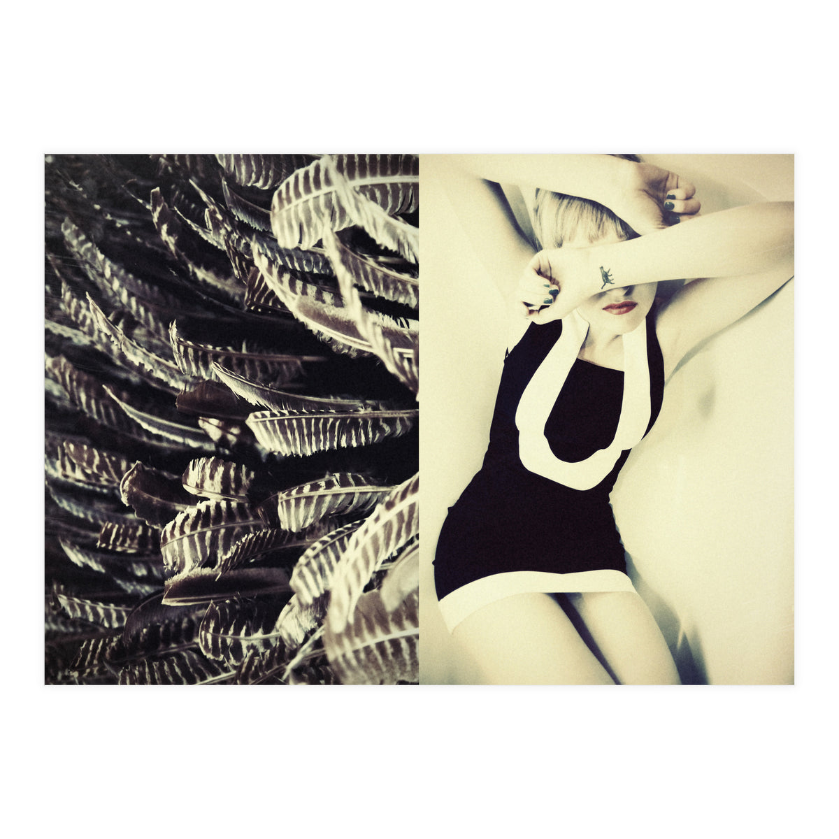 Featherish (Print Only)