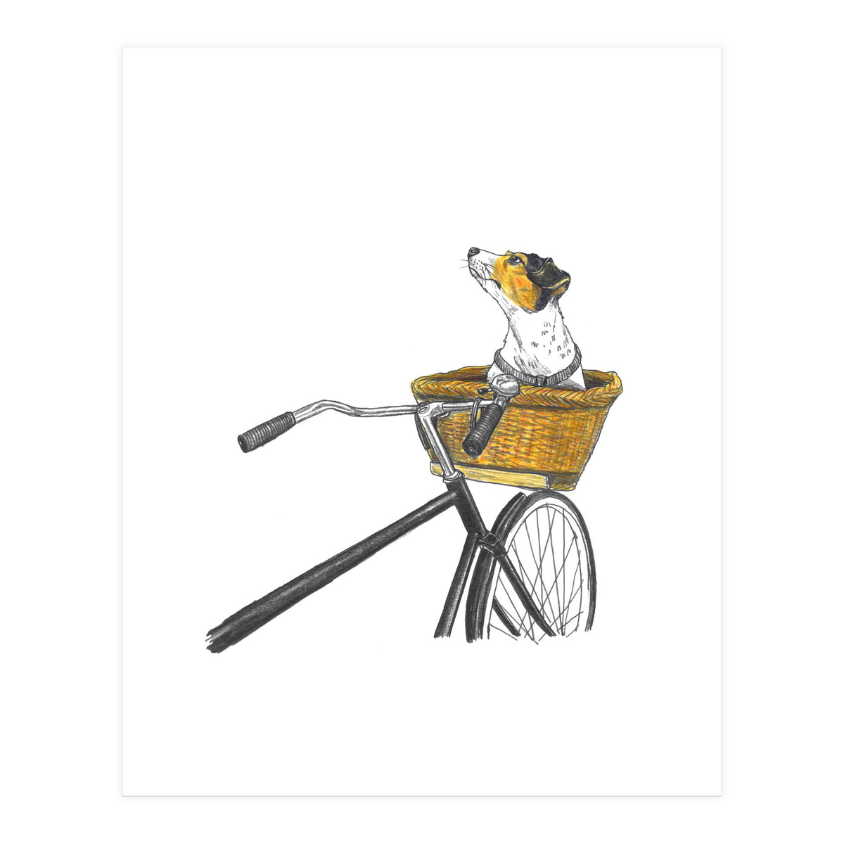 Dog In Basket (Print Only)