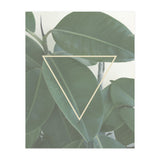 ficus triangle (Print Only) thumbnail