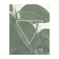 ficus triangle (Print Only)