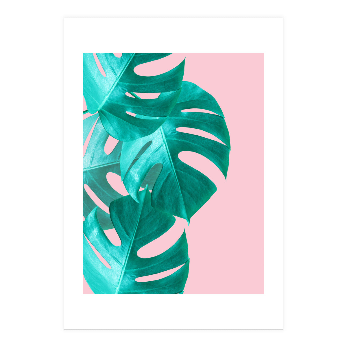 Tropical collage IV (Print Only)