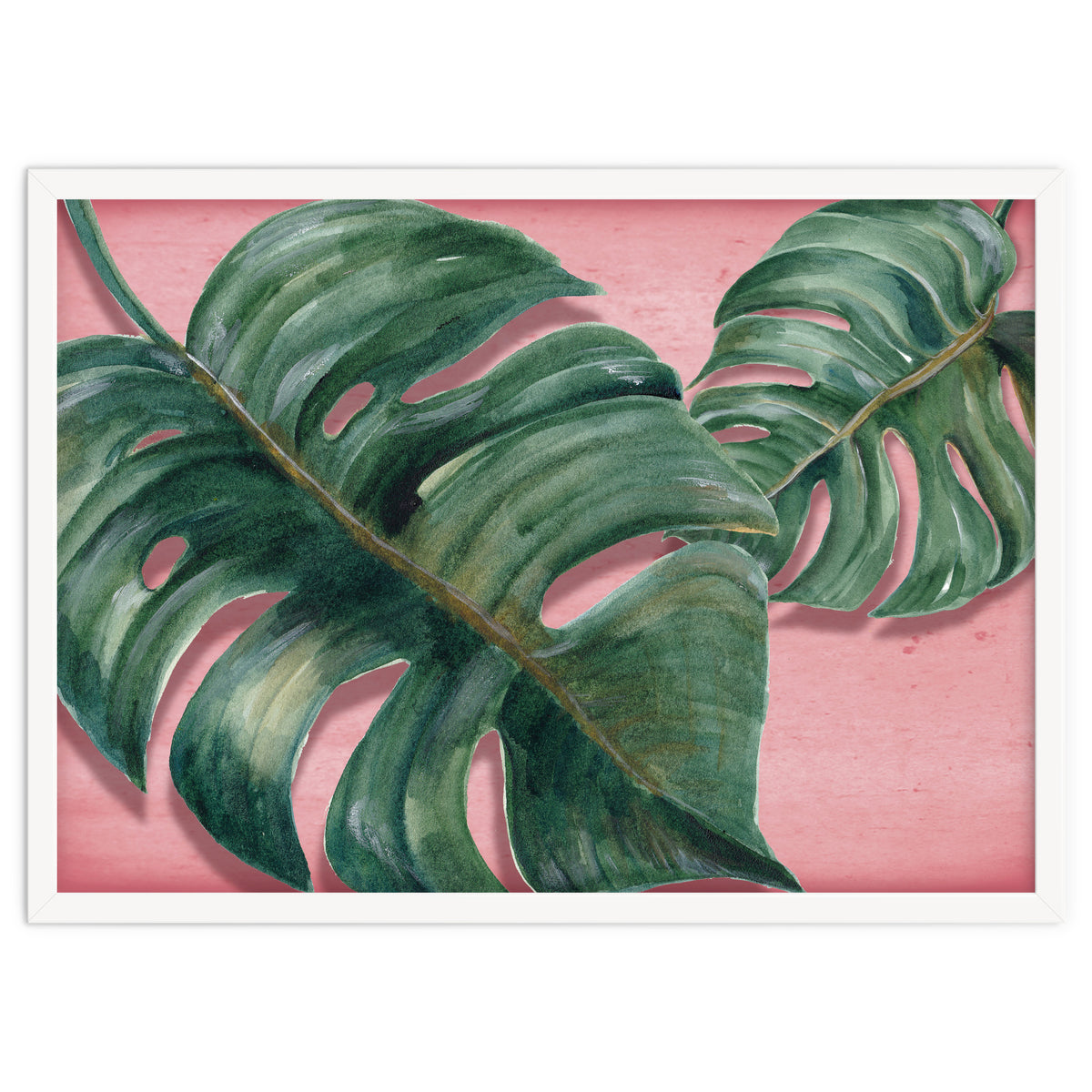 Monstera Leaf