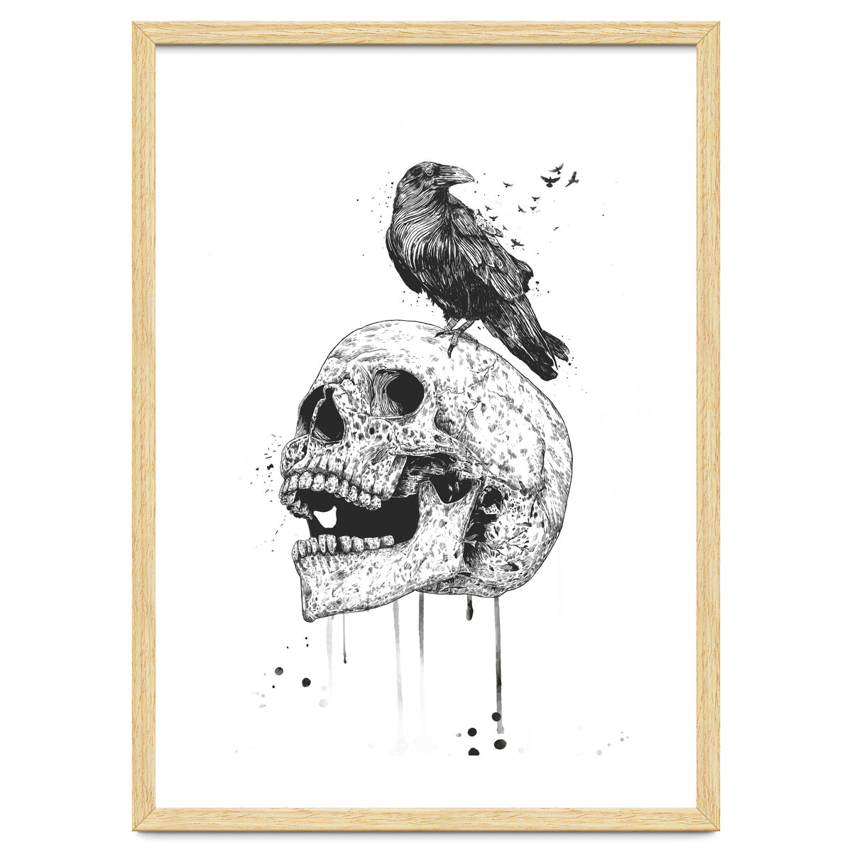 New Skull (bw)