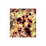 Natural Mechanism (Print Only) thumbnail