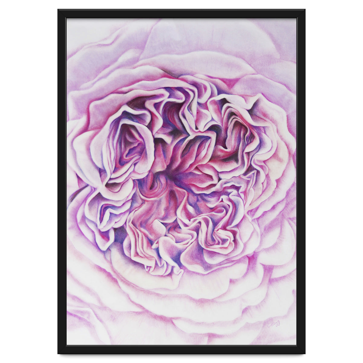 A Rose Is A Rose Std