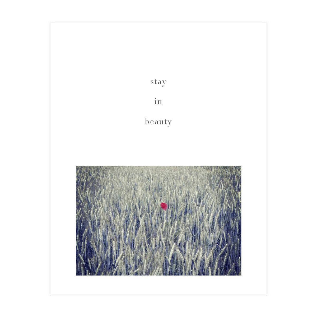 stay in nature (Print Only)