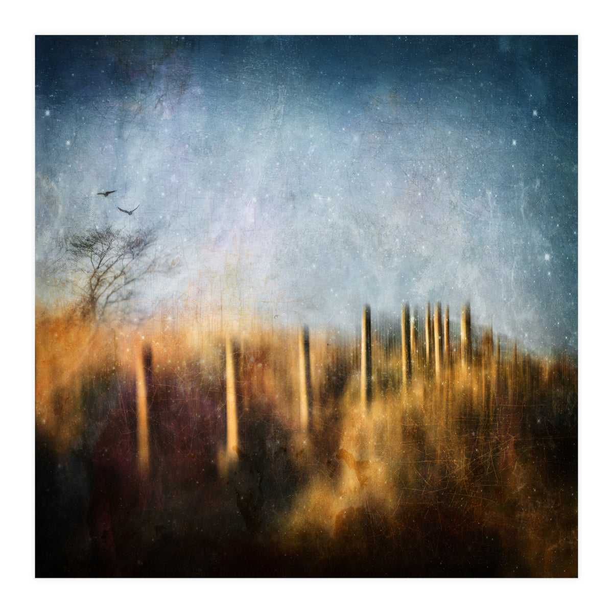 Those Beating Wings (Print Only)