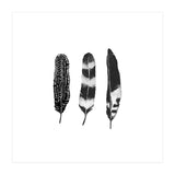 Dark Feather (Print Only) thumbnail