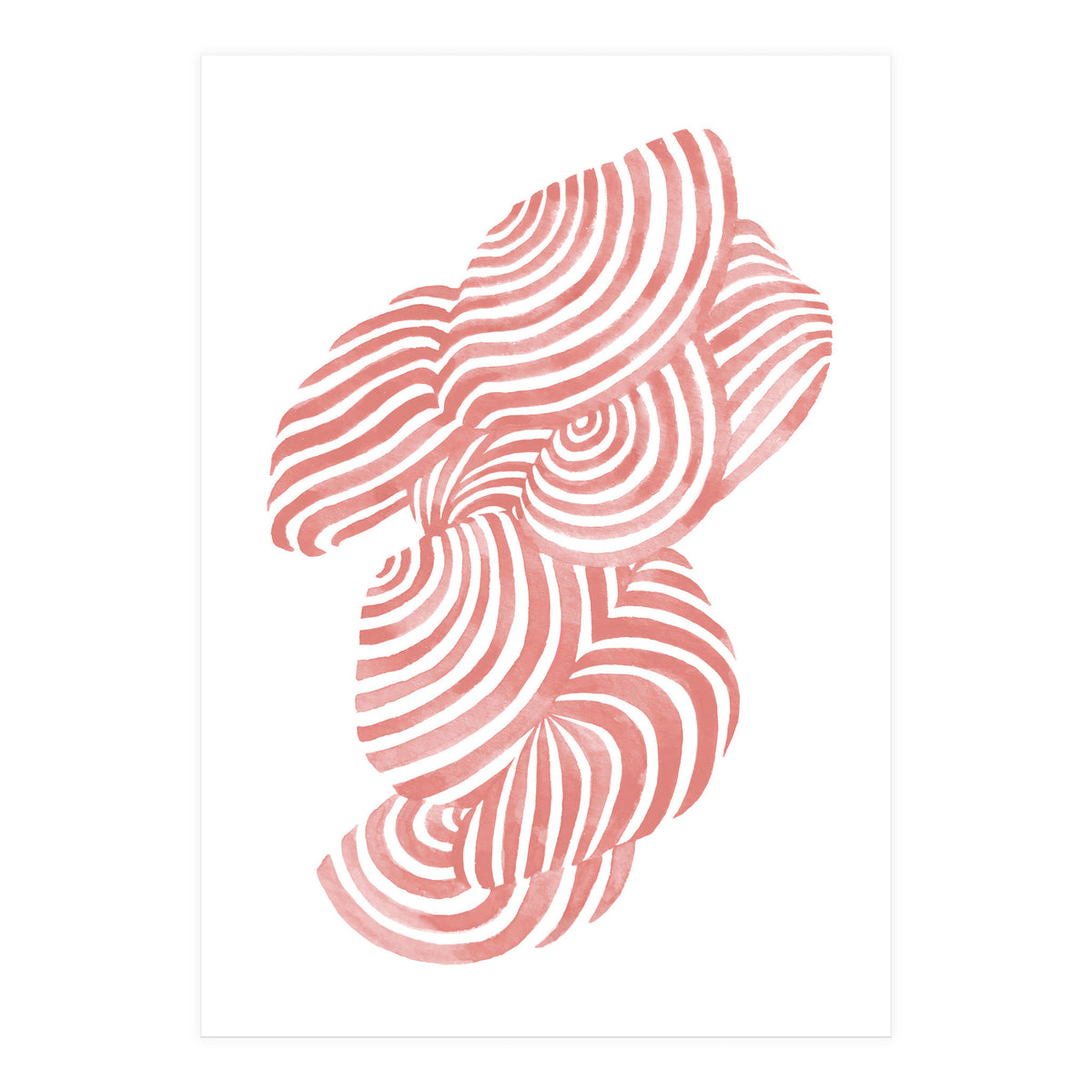 Seashells (Print Only)