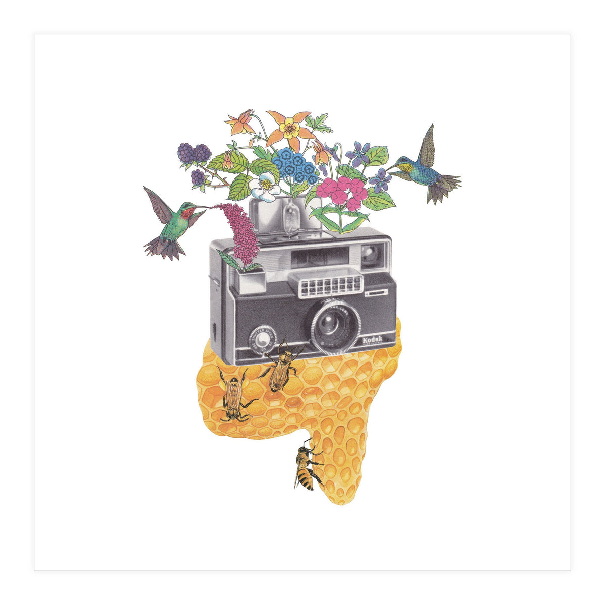 Vintage Camera (Print Only)