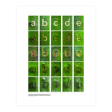 abcde (Print Only) thumbnail