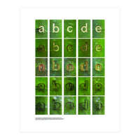 abcde (Print Only)