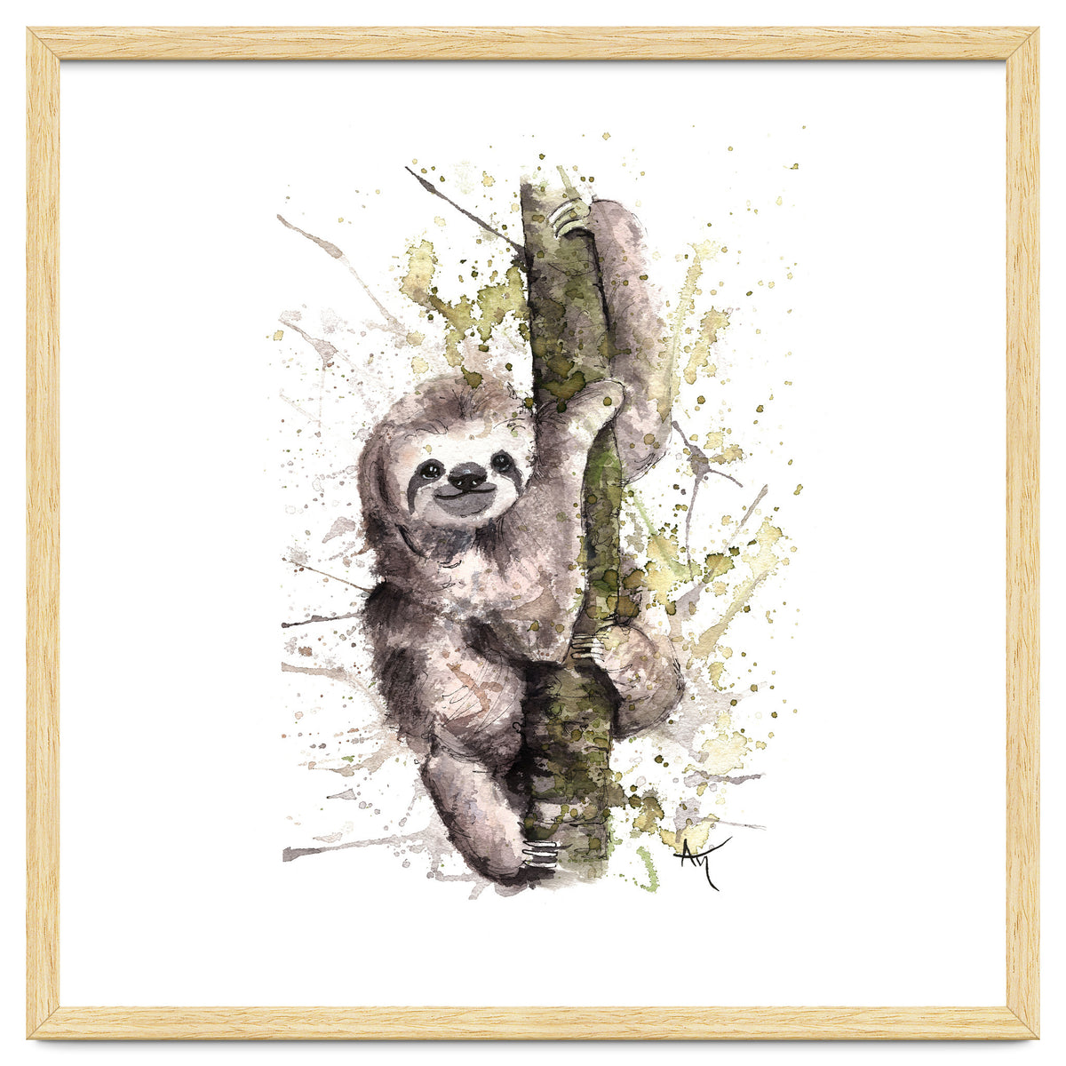 Sloth - Wildlife Collection
