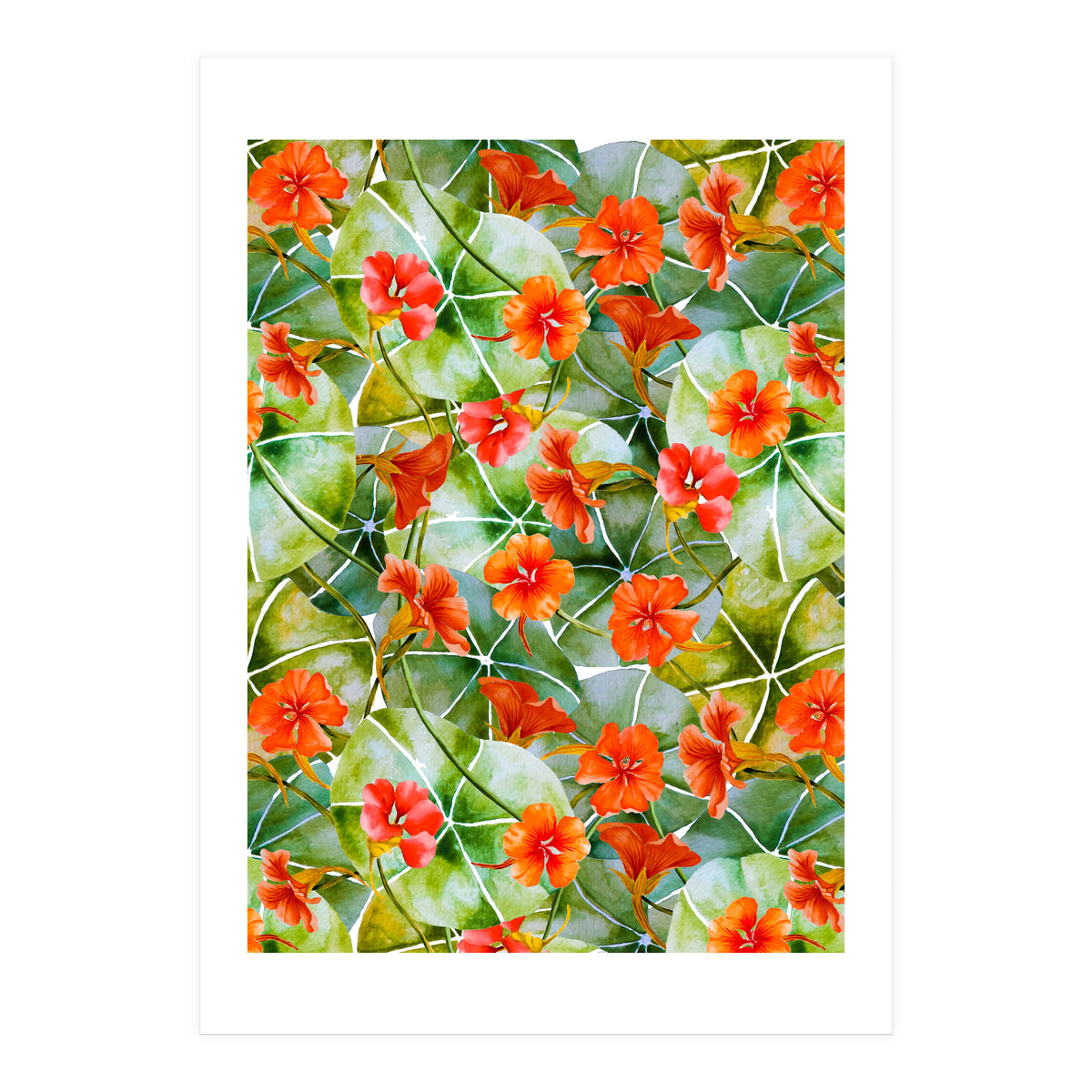 Nasturtiums watercolor 01 (Print Only)